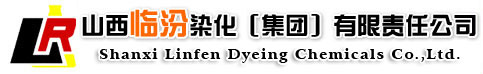 山西臨汾染化（集團）有限責(zé)任公司